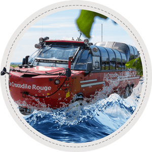 Portrait Crocodile Rouge l'amphibus