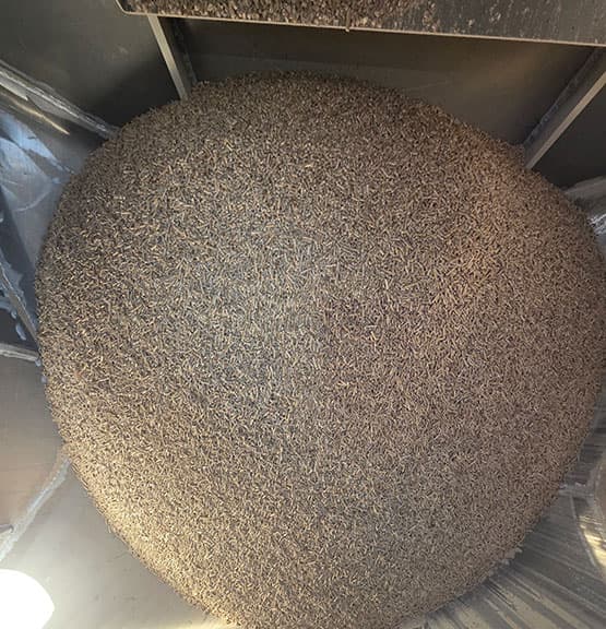 Pellets criblés et dépoussiérés dans un compartiment spécifique de notre camion-souffleur Silonet
